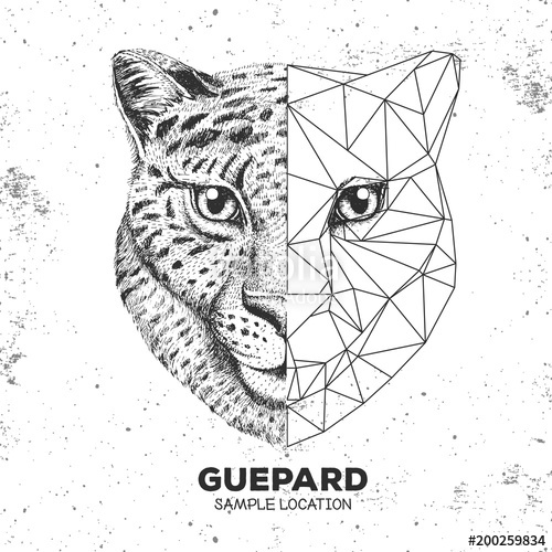 500x500 Hipster Animal Realistic And Polygonal Cheetah Face Stock Image