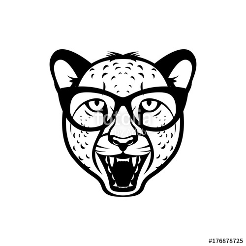 500x500 Vector Cheetah Head, Face For Retro Hipster Logos, Emblems, Badges