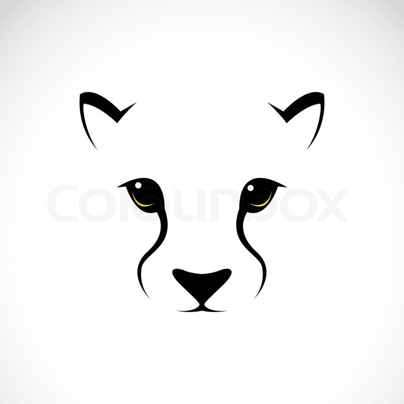 800x800 Vector Image Of An Cheetah Face On White Background Stock Vector