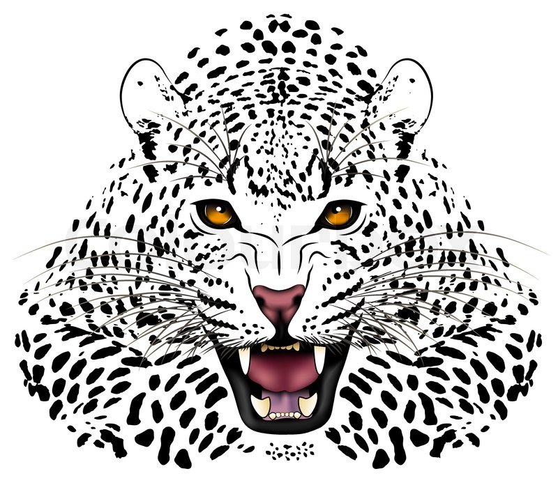 800x696 Vector Leopard, Tribal Tattoo Stock Vector Colourbox
