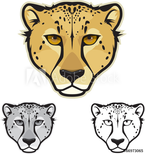 469x500 Cheetah Face