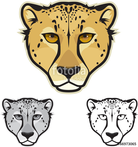 469x500 Cheetah Face Stock Image And Royalty Free Vector Files On Fotolia