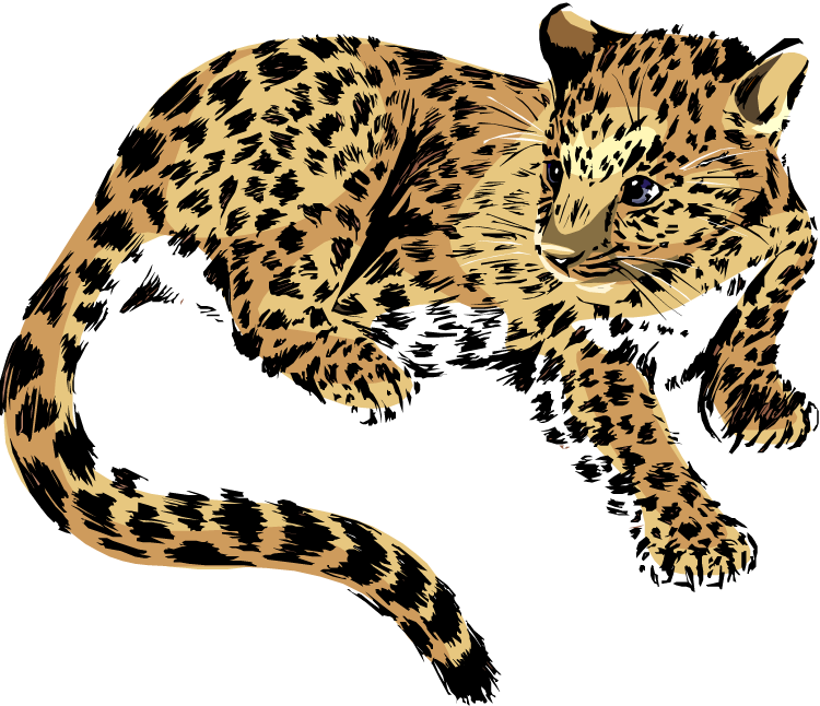750x646 Collection Of Free Cheetah Vector Cute. Download On Ubisafe