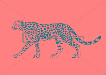 340x242 Image 2926891 Black And White Cheetah. Vector From Crestock Stock