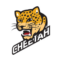 240x240 Search Photos Cheetah Vector