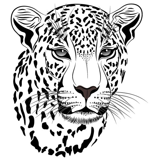 522x527 Set Of Cheetah Vector Picture Art 14 Free Download