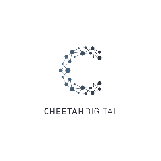 560x560 Vector Capital Investments Cheetah Digital