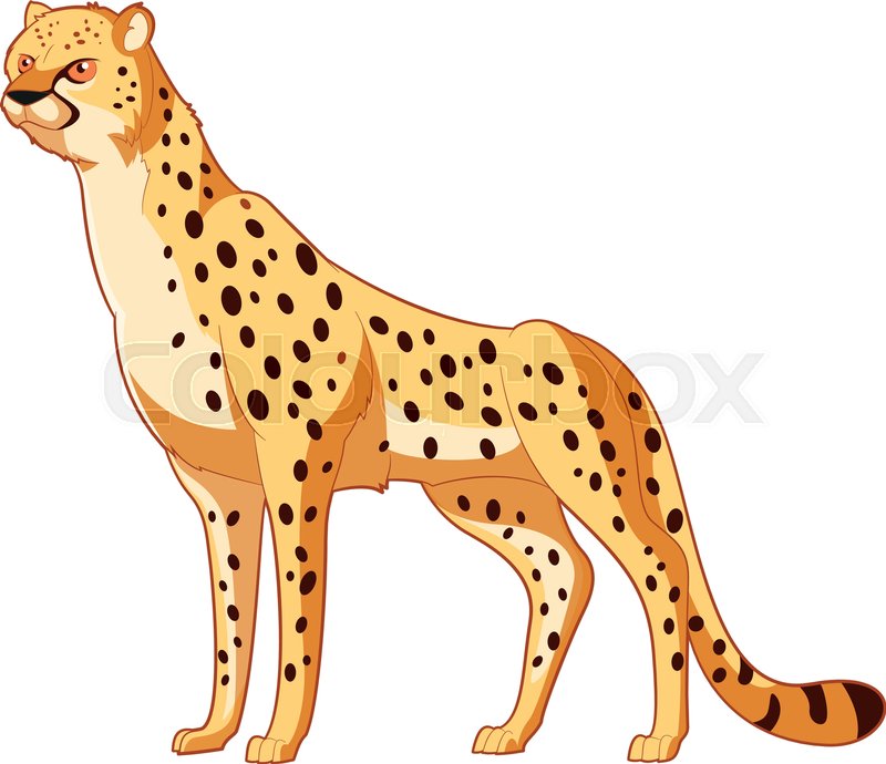 800x690 Vector Image Of The Cartoon Smiling Cheetah Stock Vector Colourbox