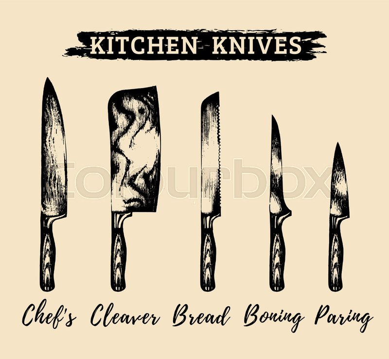 800x737 Vector Hand Drawn Kitchen Or Chefs Knives Set. Butchers Tools