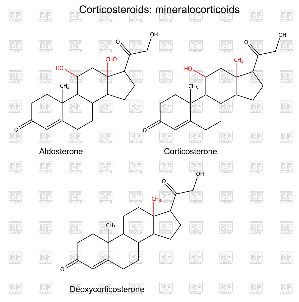 1191x1200 Chemical Formula Of Corticosteroids Vector Image Vector Artwork