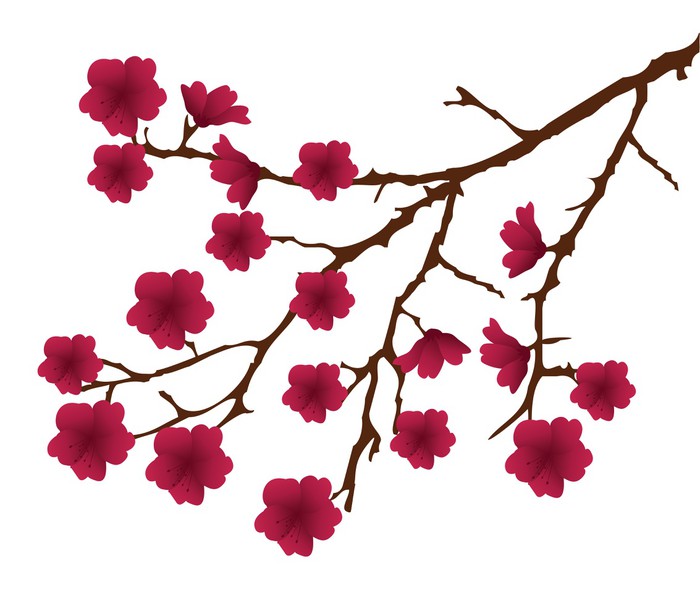 700x601 Vector Cherry Blossom Branch With Red Flowers Poster Pixers
