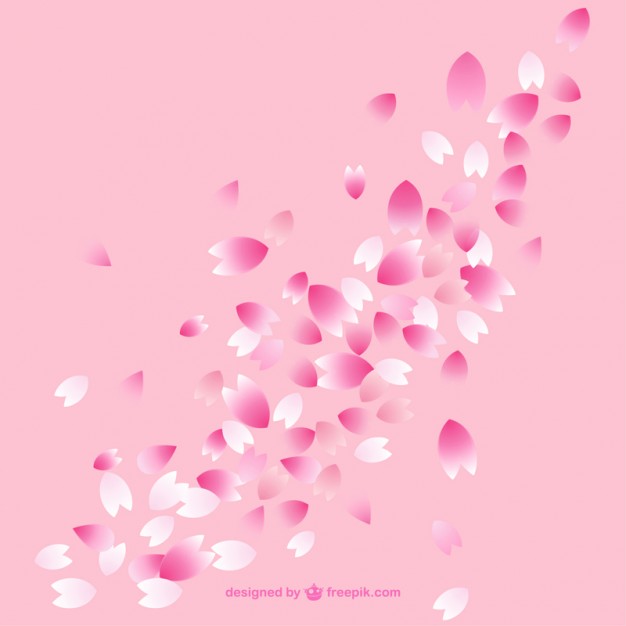 626x626 Cherry Blossom Petals Vector Free Download