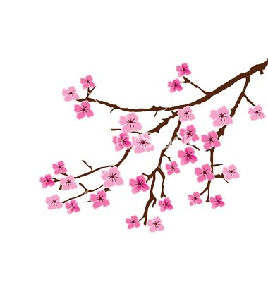 Cherry Blossom Petal Vector at GetDrawings | Free download