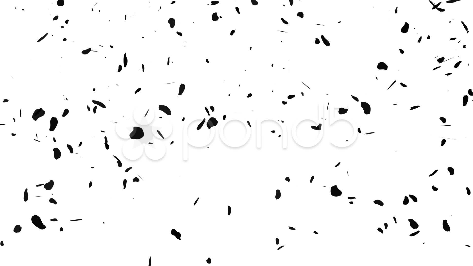 1920x1080 Falling Sakura Petals Cherry Blossoms Silhouette ~ Video