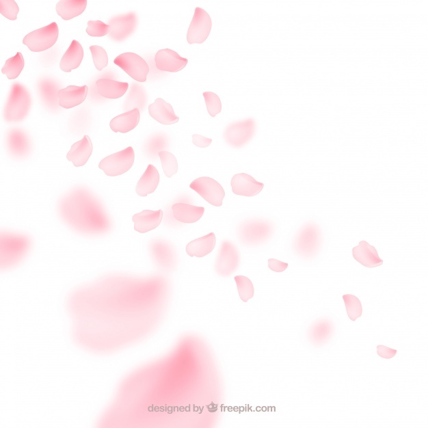626x626 Petal Vectors, Photos And Psd Files Free Download