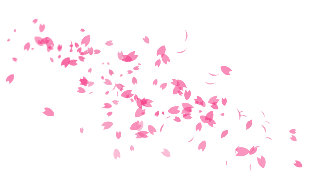 1024x640 Minimalistic Pink Sakura Petals Wallpaper By Pinkykei