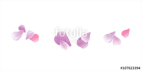 500x250 Pink Flying Petals Isolated On White. Sakura Petals. Vector Stock
