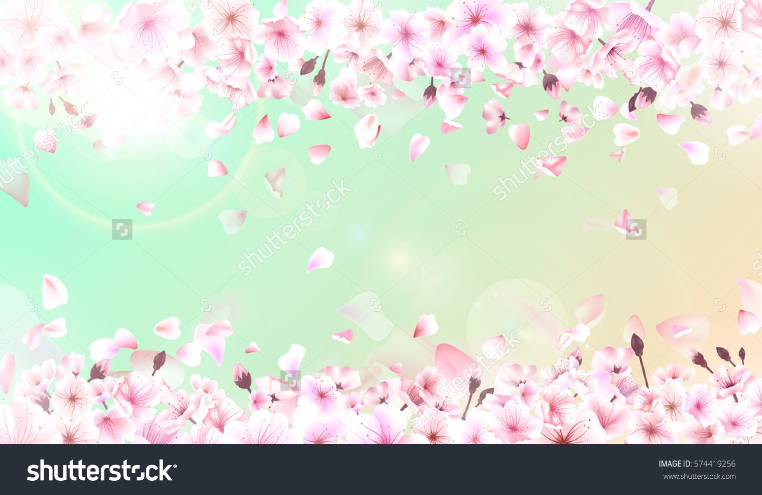 1500x975 Blooming Cherry. Spring Background. Falling Sakura Pink Petals