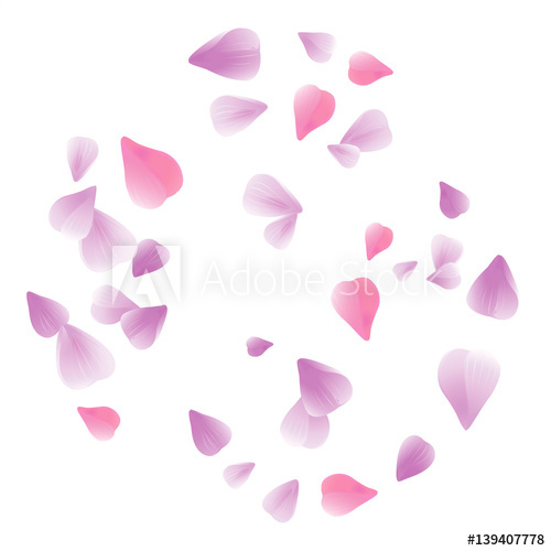 500x500 Violet Purple Flying Petals Isolated On White. Sakura Petals