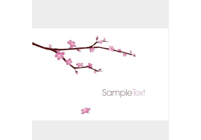 700x490 Cherry Blossom Vector Art