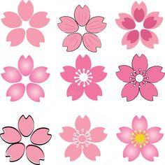 Cherry Blossom Vector
