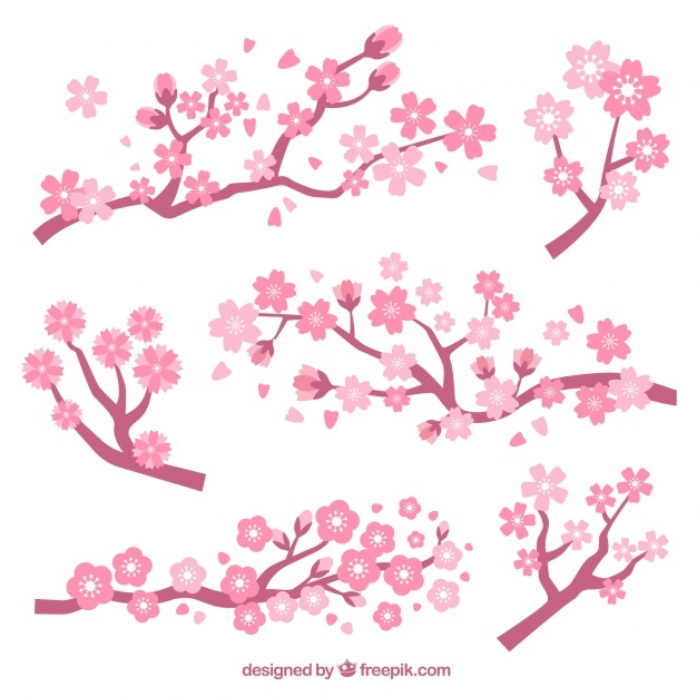 Cherry Blossom Vector at GetDrawings | Free download