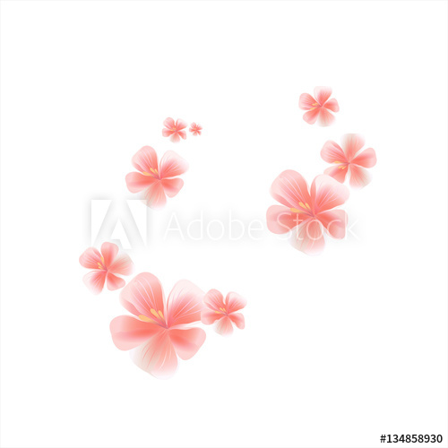 500x500 Pink Flying Flowers Isolated On White. Sakura Flowers. Cherry