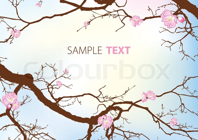 800x566 The Oriental Cherry Blossoms. Vector Stock Vector Colourbox