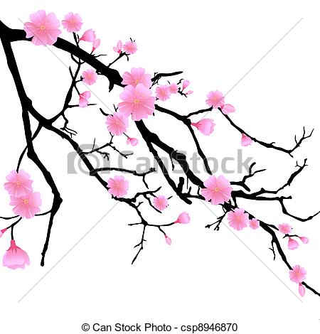 450x470 Branch With Cherry Blossoms . Vector Illustration Of An Isolated