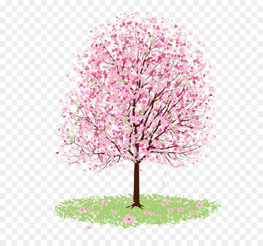 900x840 Cherry Blossom Drawing Tree