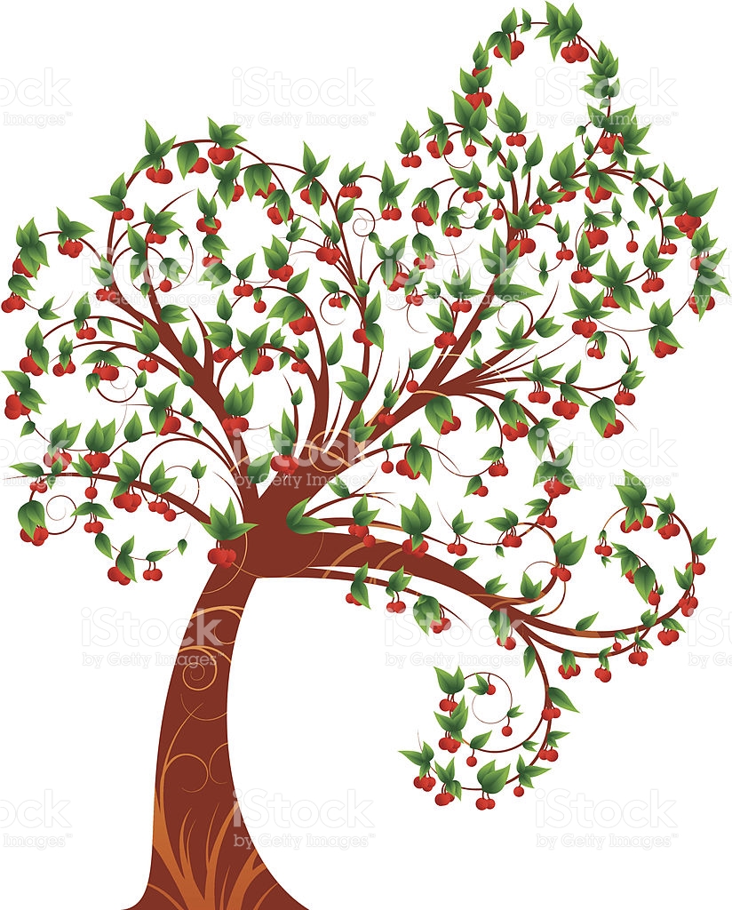 824x1024 Cherry Tree Clipart Pretty Tree