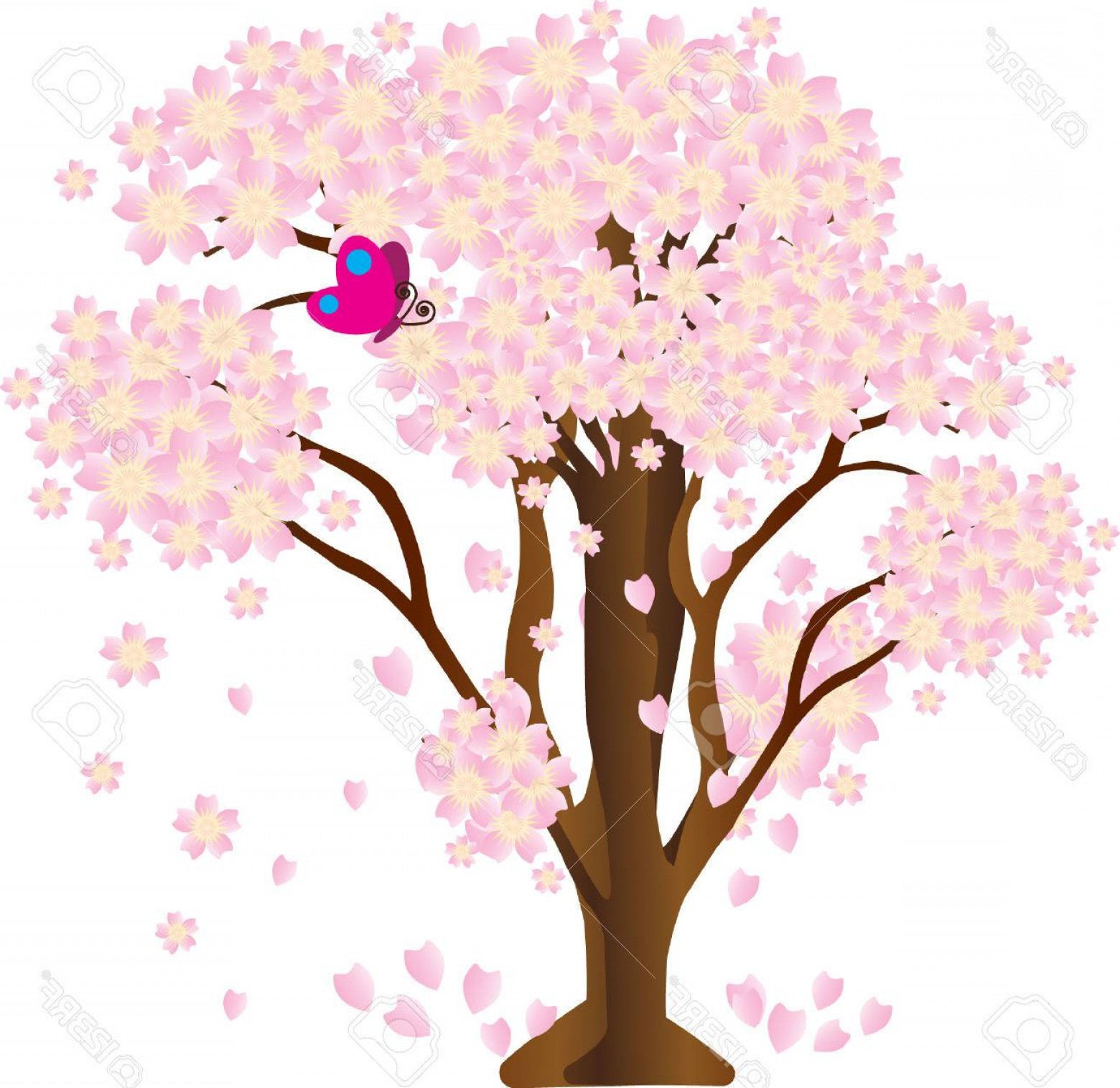 1560x1515 Photostock Vector Sakura Vector Cherry Blossom Tree Vector Arenawp