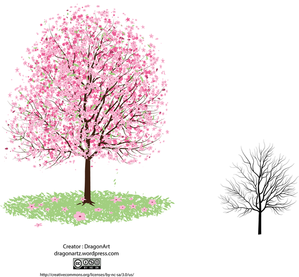 615x570 Pink Cherry Blossom Tree