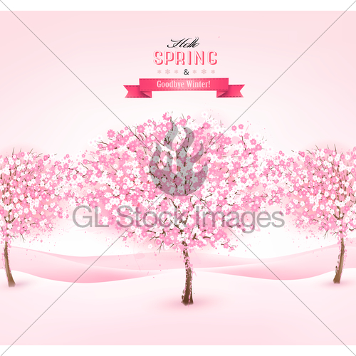500x500 Spring Background With Cherry Blossom Trees. Vector. Gl Stock Images