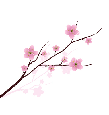 380x400 Ume Blossom Clipart Red