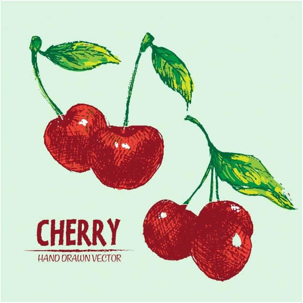 626x626 Cherry Vectors, Photos And Psd Files Free Download