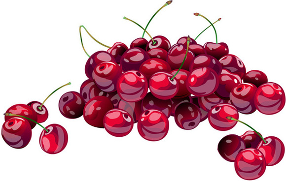 580x368 Cherry Acerola Free Vector Download (424 Free Vector) For