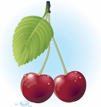 347x368 Cherry Vector Free Vector Download (423 Free Vector) For