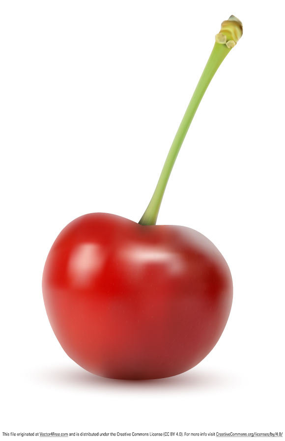 580x898 Free Vector Cherry