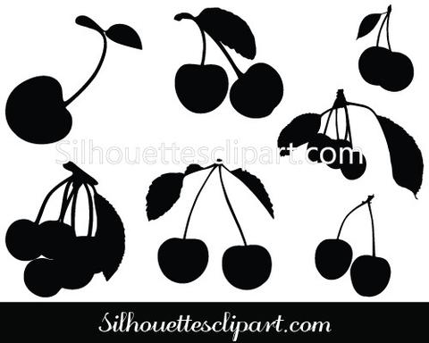 480x384 Fruits Cherry Vector Graphics Download Silhouettes Vector