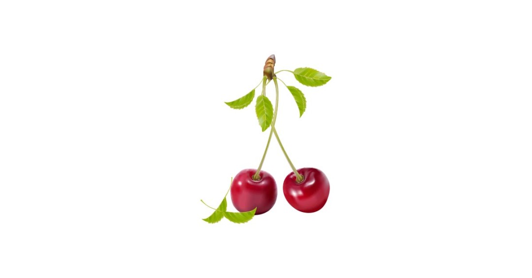 1080x565 Realistic Cherry Vector And Transparent Png The Graphic Cave