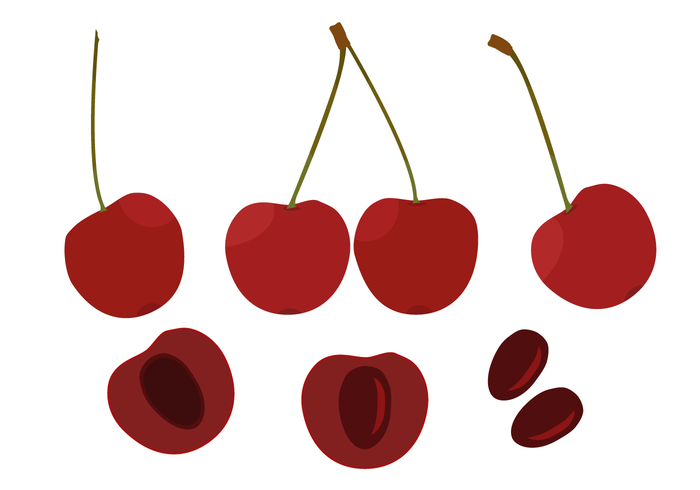700x490 Cherry Free Vector Art