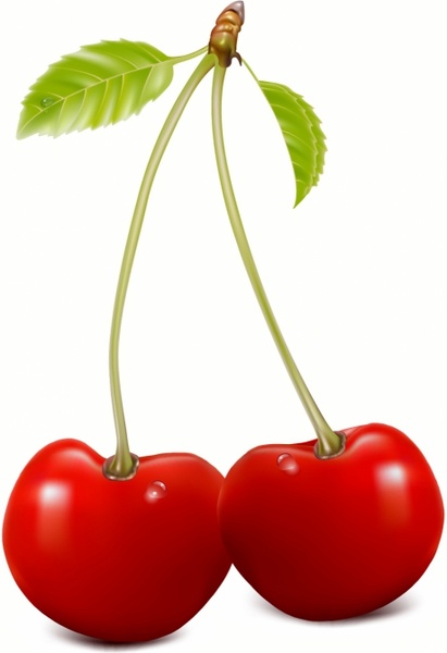 411x600 Cherry Free Vector In Adobe Illustrator Ai ( .ai ), Encapsulated