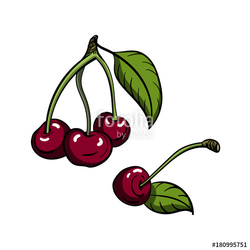 500x500 Cherry Vector Stock Image And Royalty Free Vector Files On