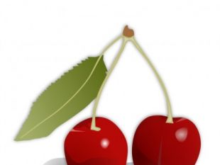 310x233 Cherry Vector Free Vectors Ui Download