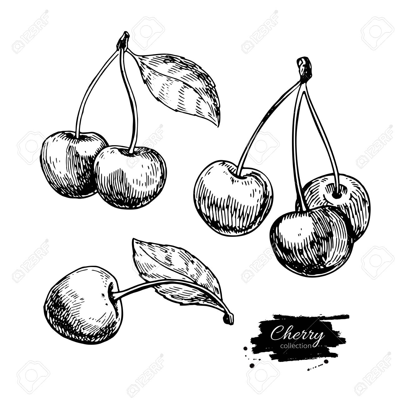 1300x1300 Drawn Cherry Vector Free Collection Download And Share Drawn