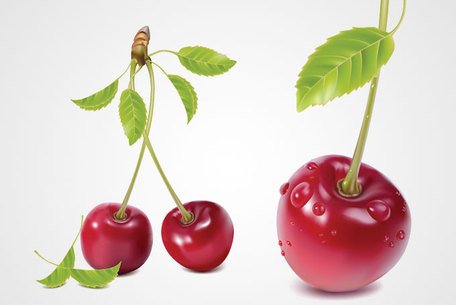 456x305 Free Cherry Clipart And Vector Graphics