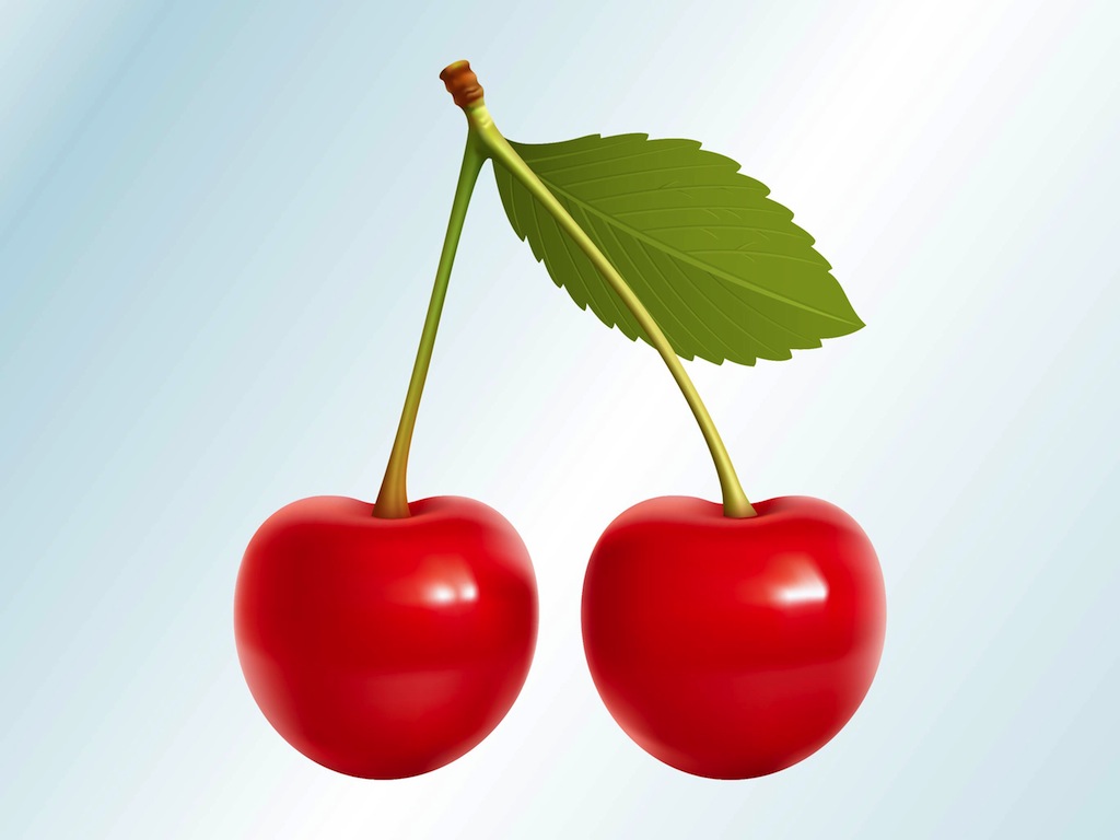 1024x768 Realistic Cherries Vector Art Amp Graphics