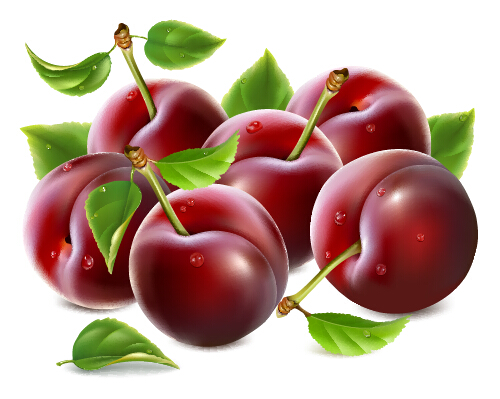 500x399 Ripe Fresh Cherry Creative Vector Free Download