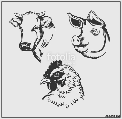 500x487 Heads Of Farm Animals. Cow, Pig And Chicken. Vector Monochrome